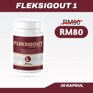 Fleksigout 1