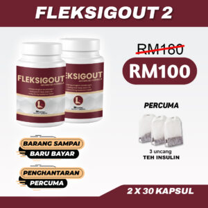 Fleksigout 2