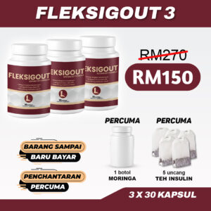 Fleksigout 3